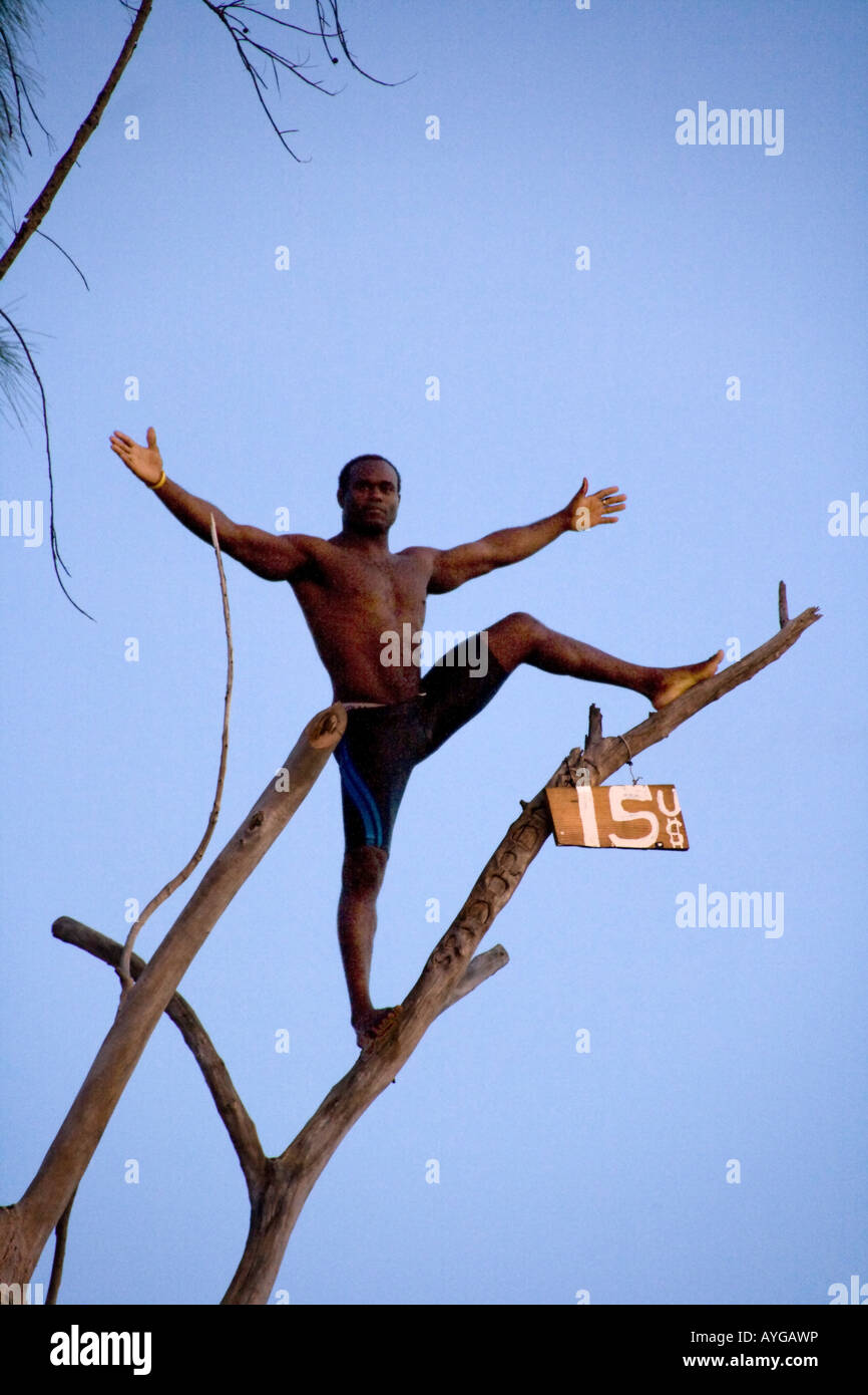 Jamaica Negril Ricks Cafe Cliff Diver jumping from a Tree Stock Photo