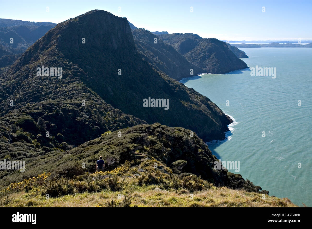 hiking Manukau north head Stock Photo Alamy