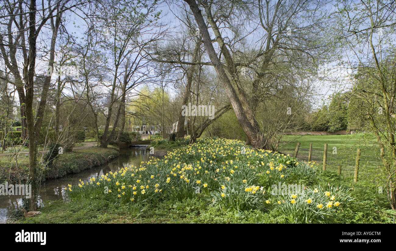 The banks of a river with bushes and trees Stock Photo - Alamy