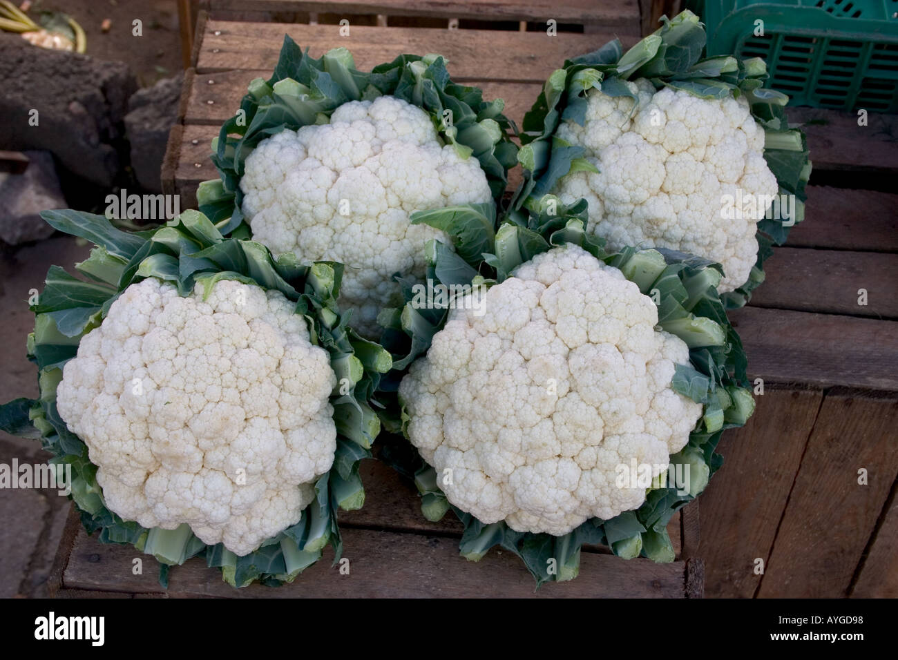 Cauliflower heads for sale at the farmers market in Poland. Rawa Mazowiecka Poland Stock Photo