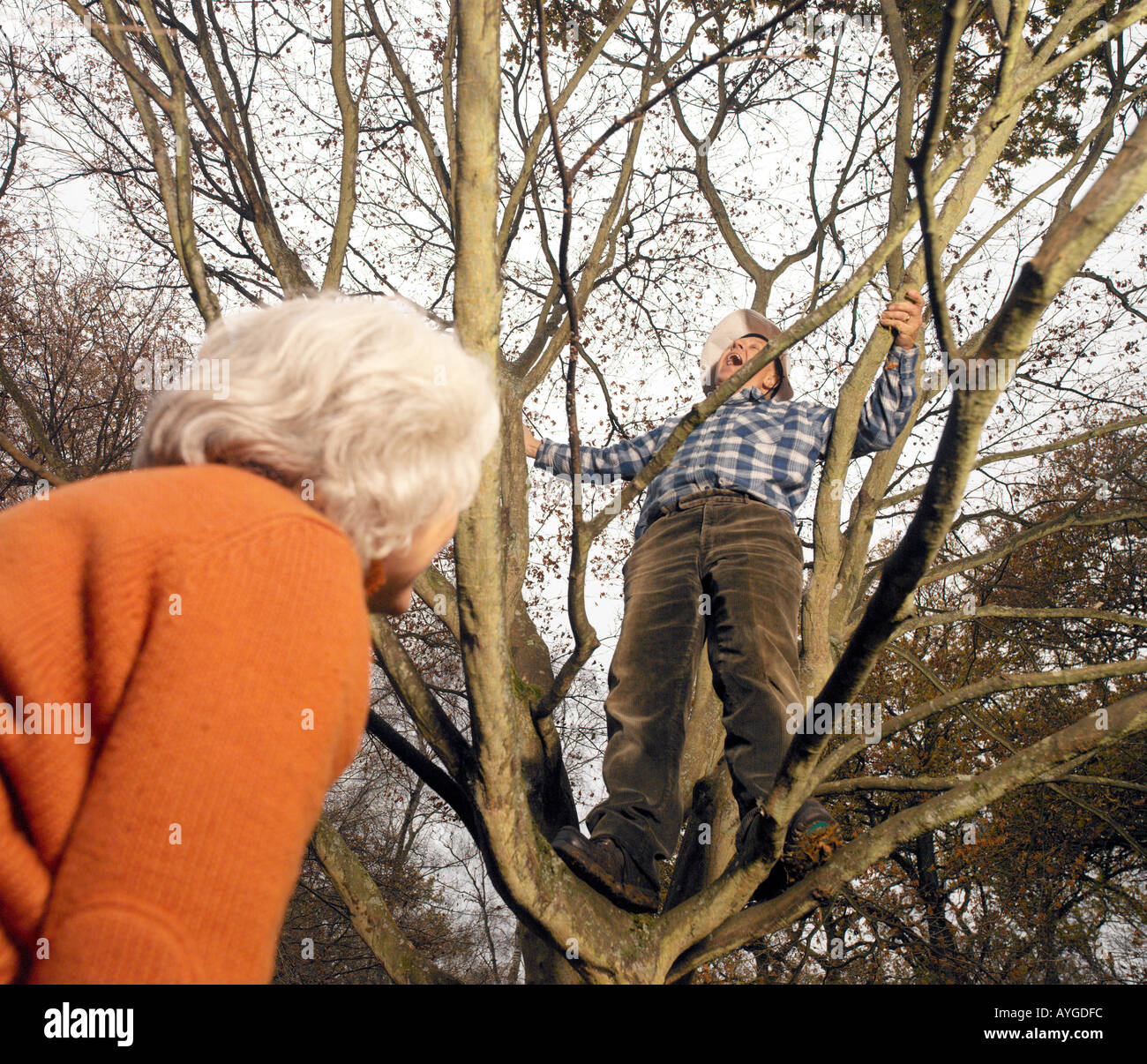 elderly male up a tree being watched by elderly female from below Stock Photo