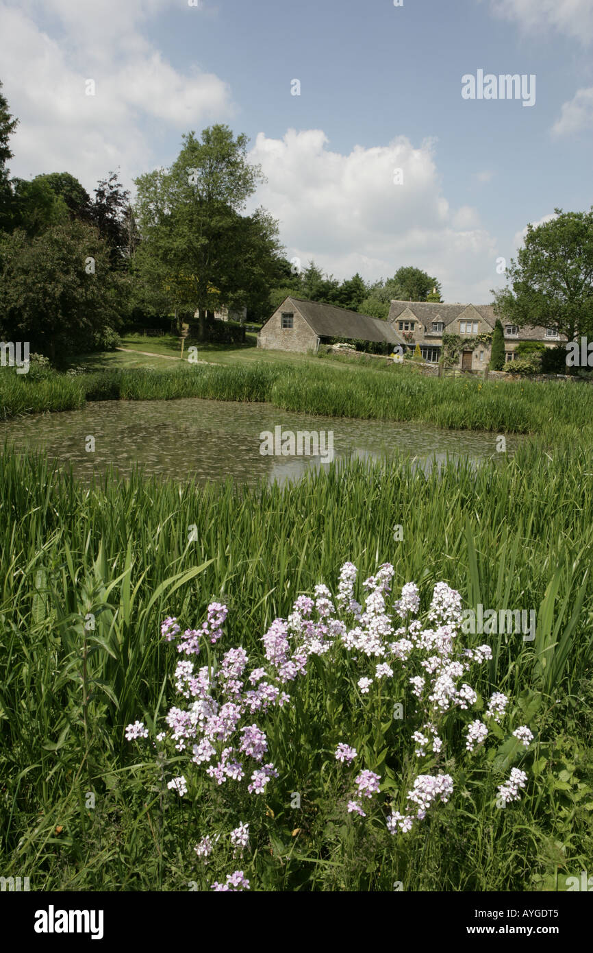 The village pond in the cotswold village of Westwell Stock Photo Alamy