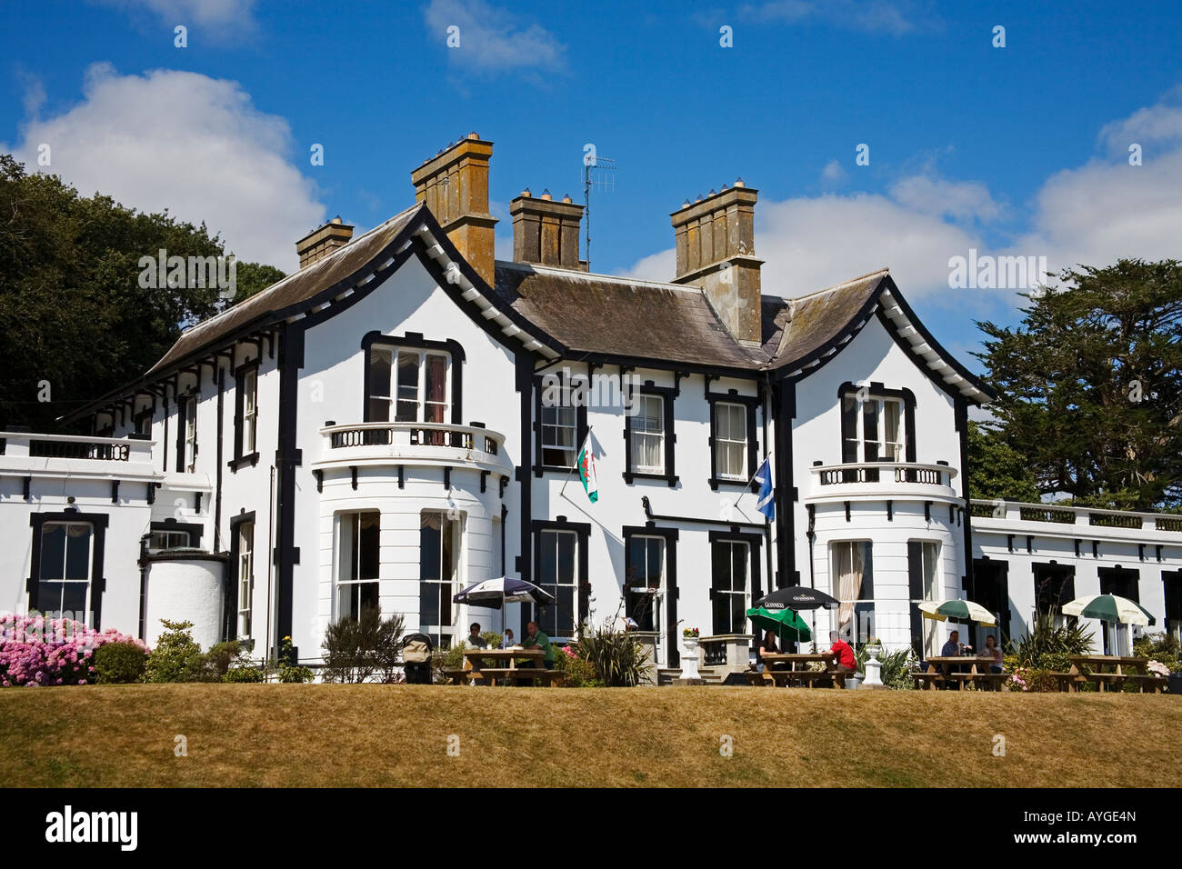 Haven Hotel Dunmore East County Waterford Ireland Stock Photo Alamy haven-hotel-dunmore-east-county-waterford-ireland-stock-photo-alamy