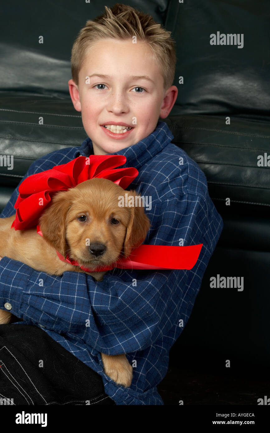 Boy holding Golden Retriever puppy dog Stock Photo Alamy