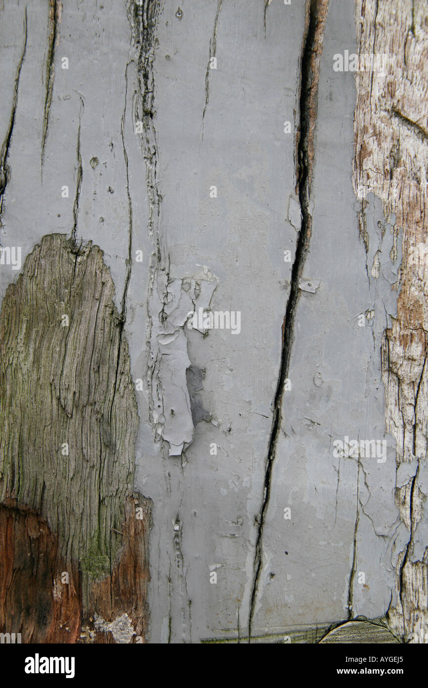 peeling paint Stock Photo