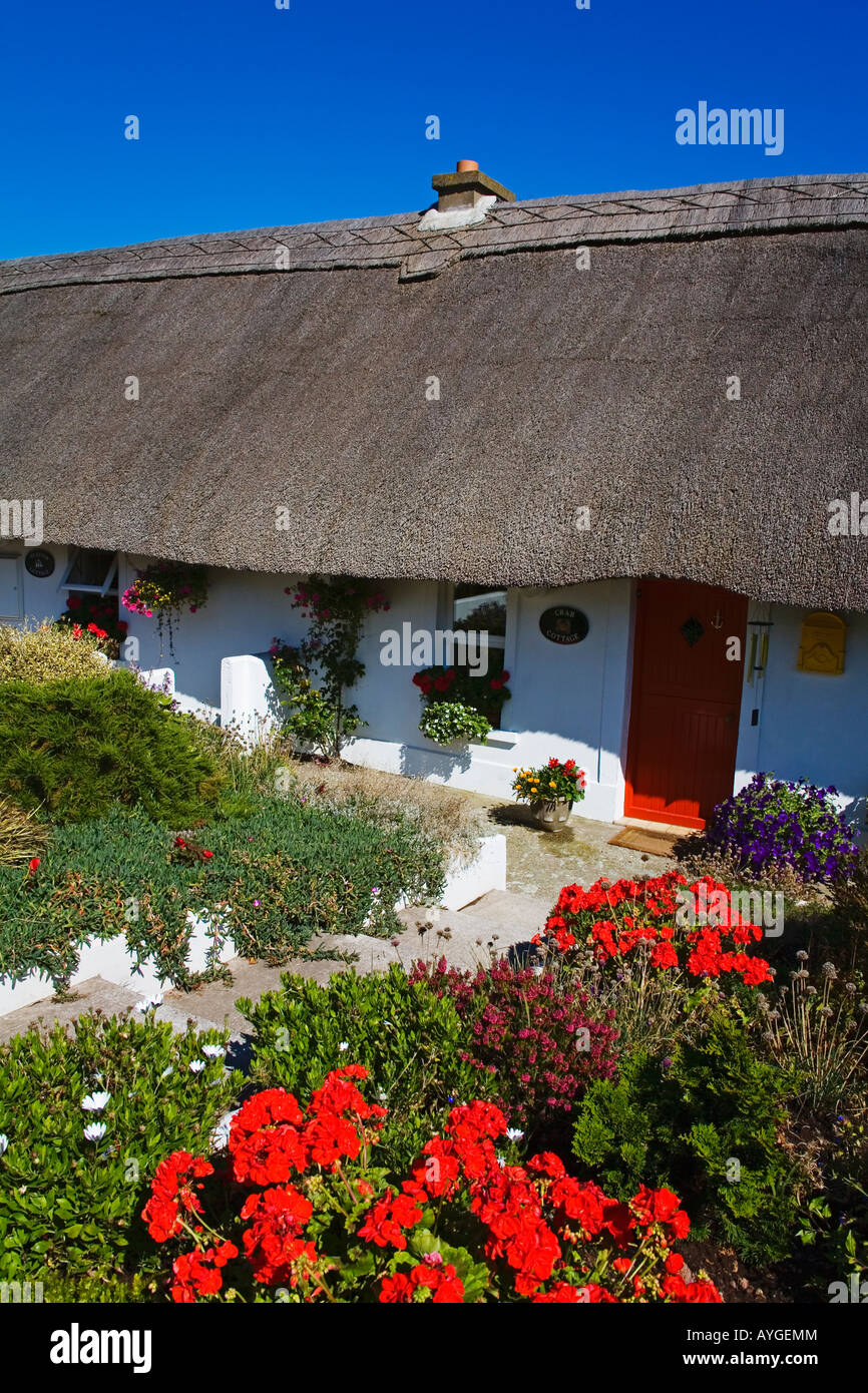 Thatched Cottage in Dunmore East Village County Waterford Ireland Stock