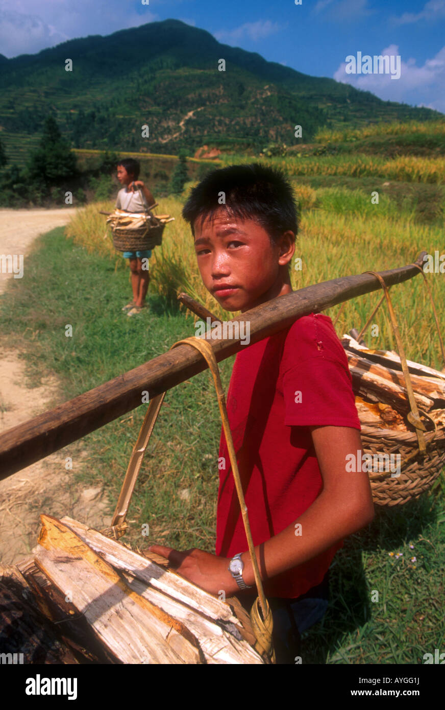 Children carrying firewood in countryside in east Guizhou province Stock Photo