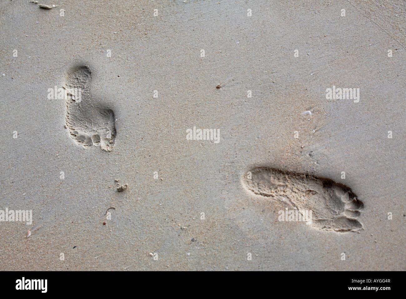 Human footprints on beach Stock Photo