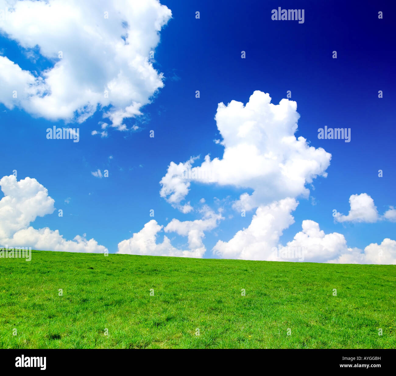 Green meadow with blue cloudy sky Stock Photo - Alamy