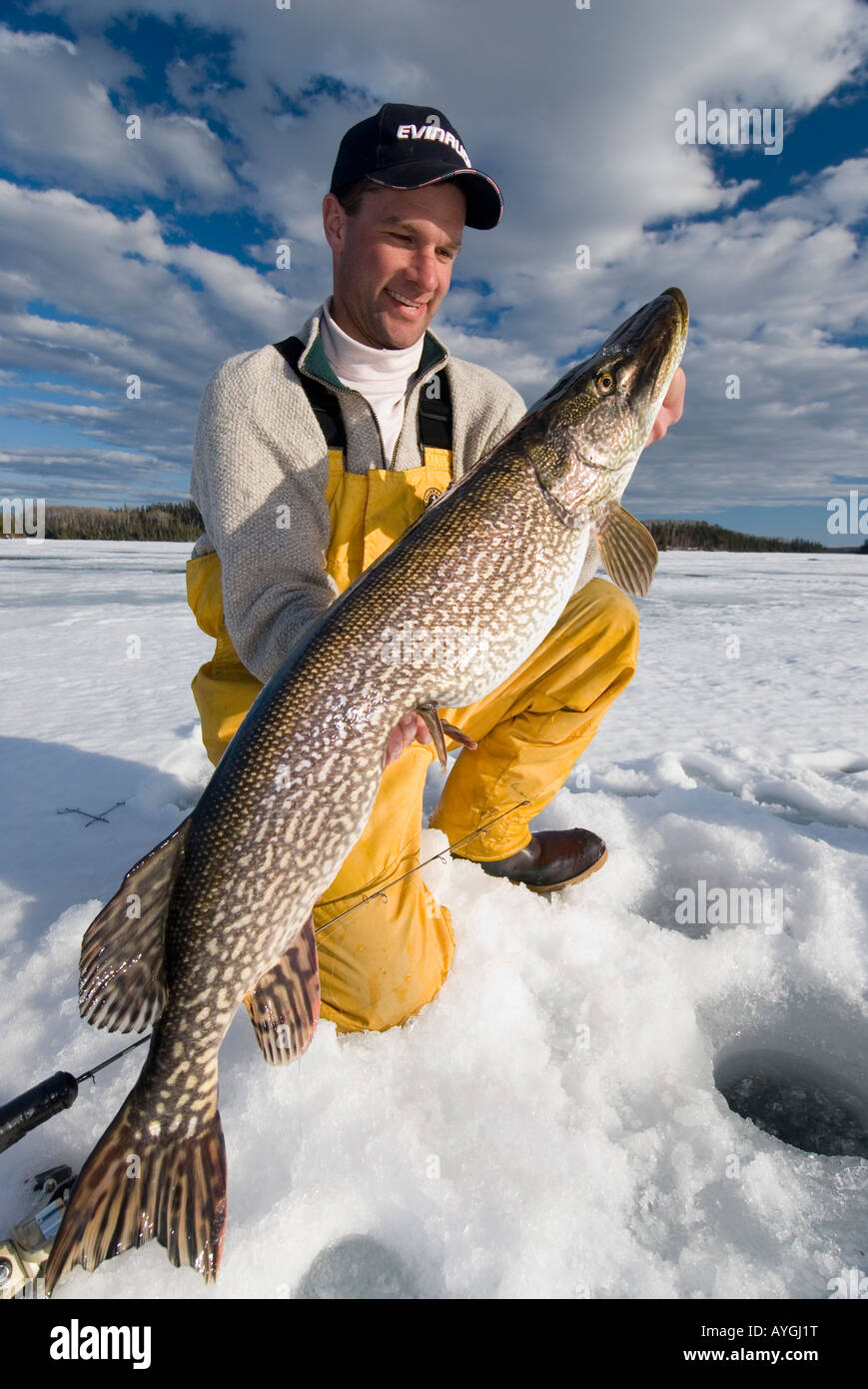 ICE FISHING LARGE NORTHERN PIKE FROM NORTHERN ONTARIO LAKE Stock Photo