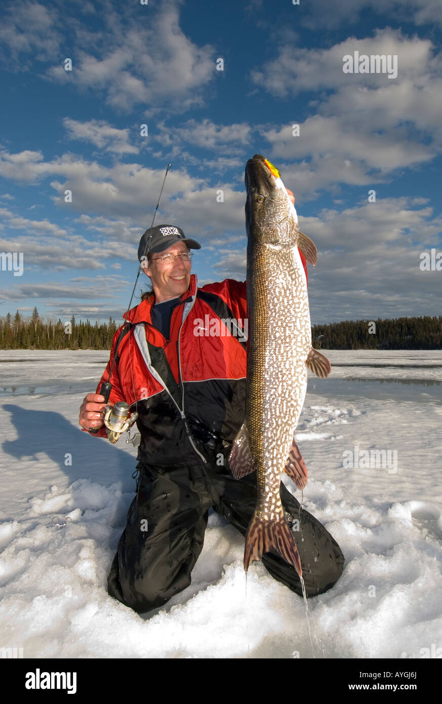 Northern pike ice fishing Stock Photos, Royalty Free Northern pike