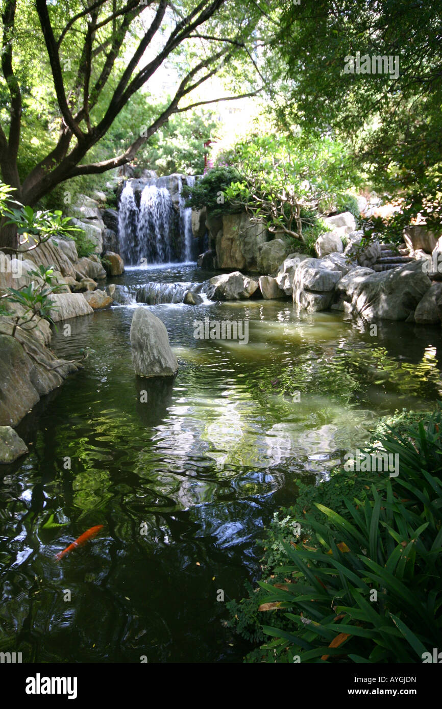 chinese garden darling harbour sydney Stock Photo Alamy chinese garden darling harbour sydney Stock Photo Alamy