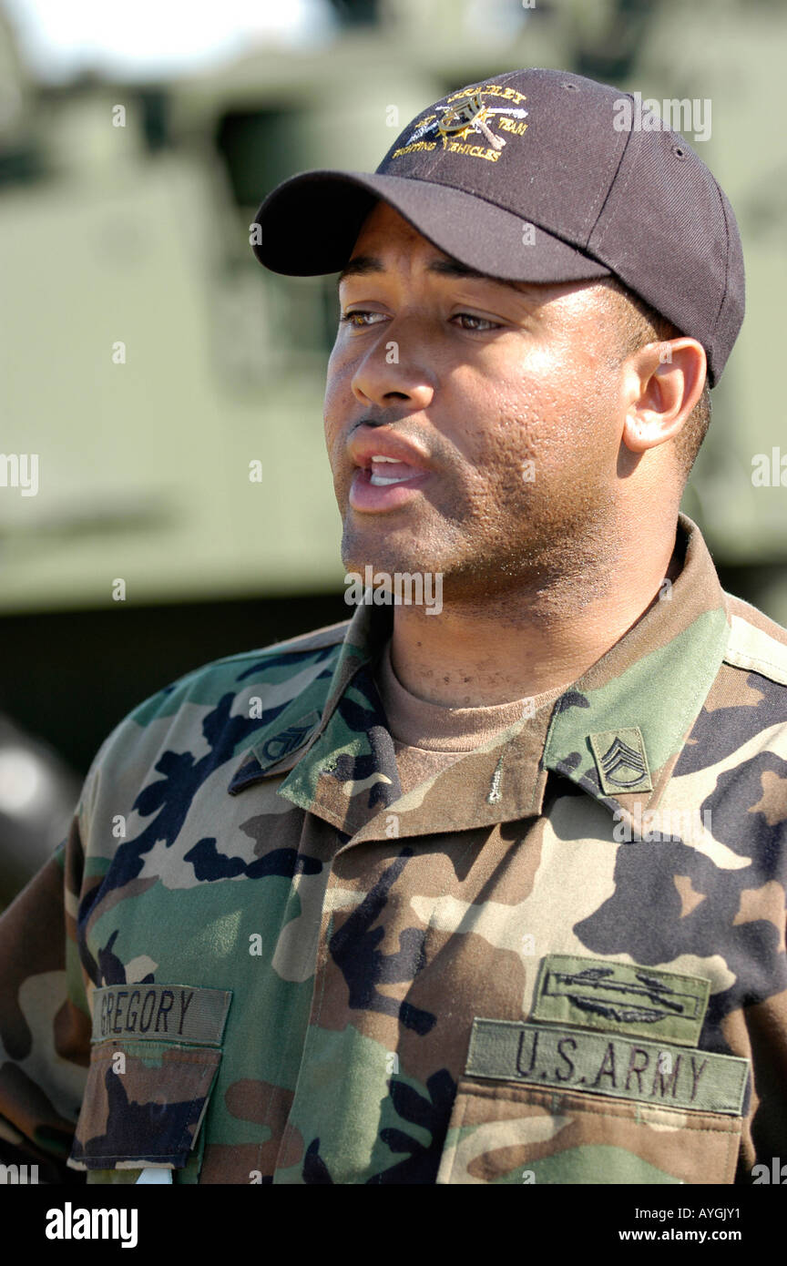 Air Show at Selfridge Air Force Base Mt Mount Clemens Michigan MI Stock