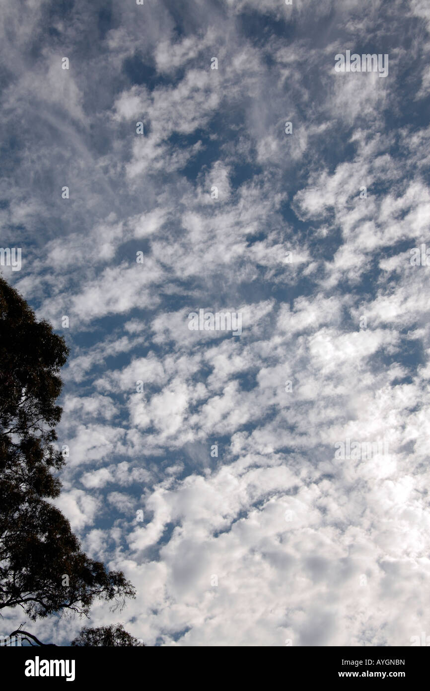 Altocumulus and Cirrus Clouds Stock Photo