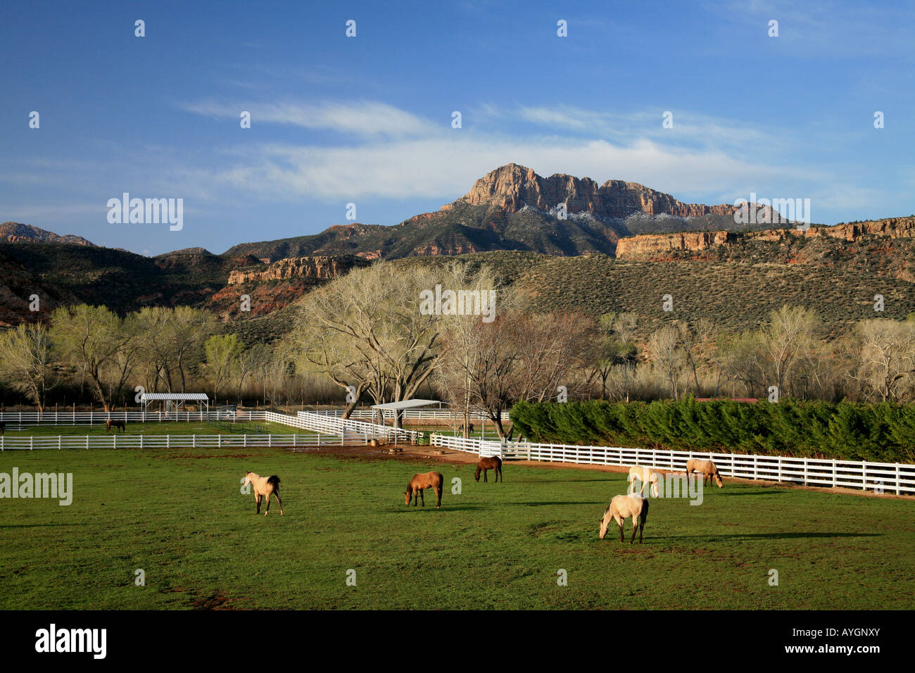 ranch near Zion National Park, Utah, U.S.A Stock Photo - Alamy