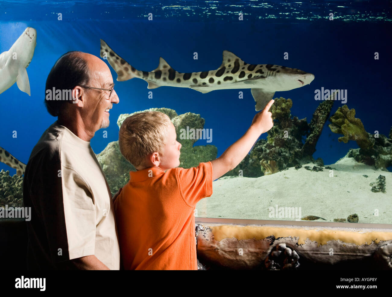 Grandfather and grandson watching fish at an aquarium Stock Photo
