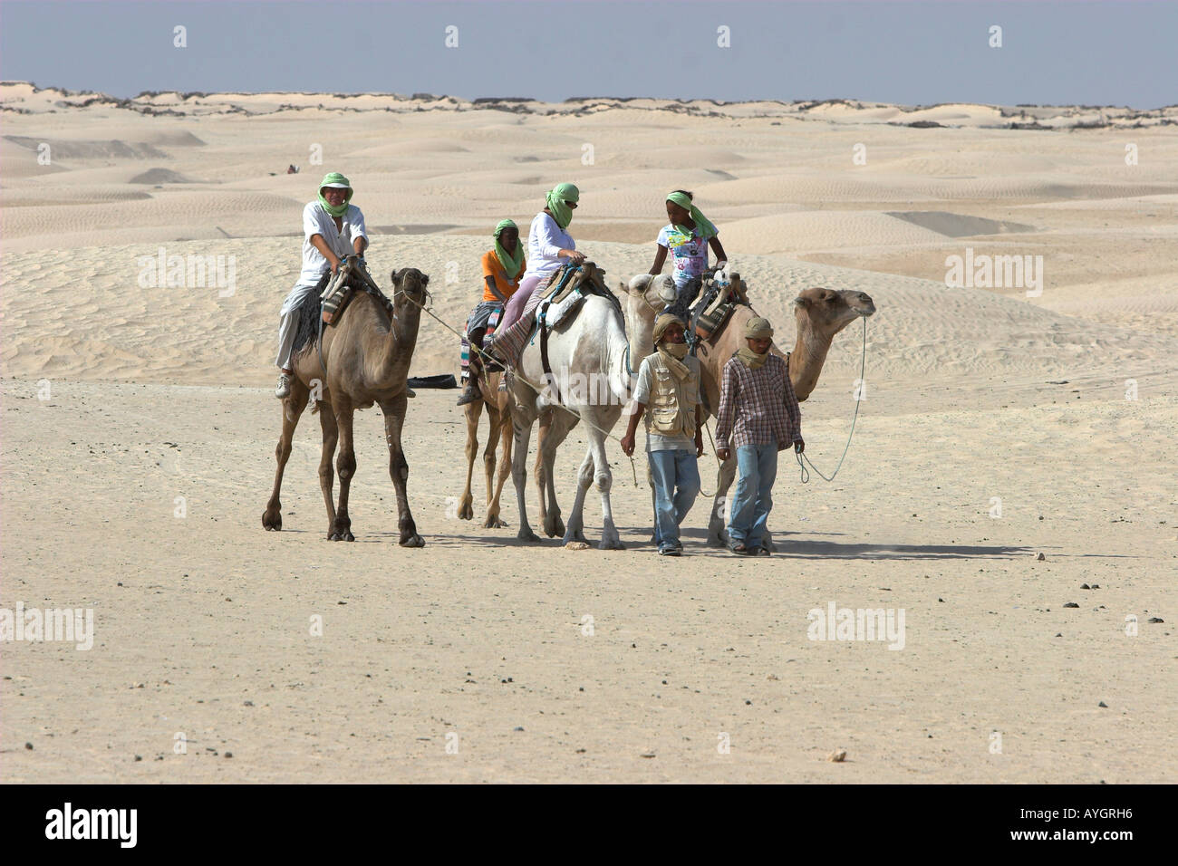 Camel trekking in the Sahara Desert near Douz Tunisia Stock Photo