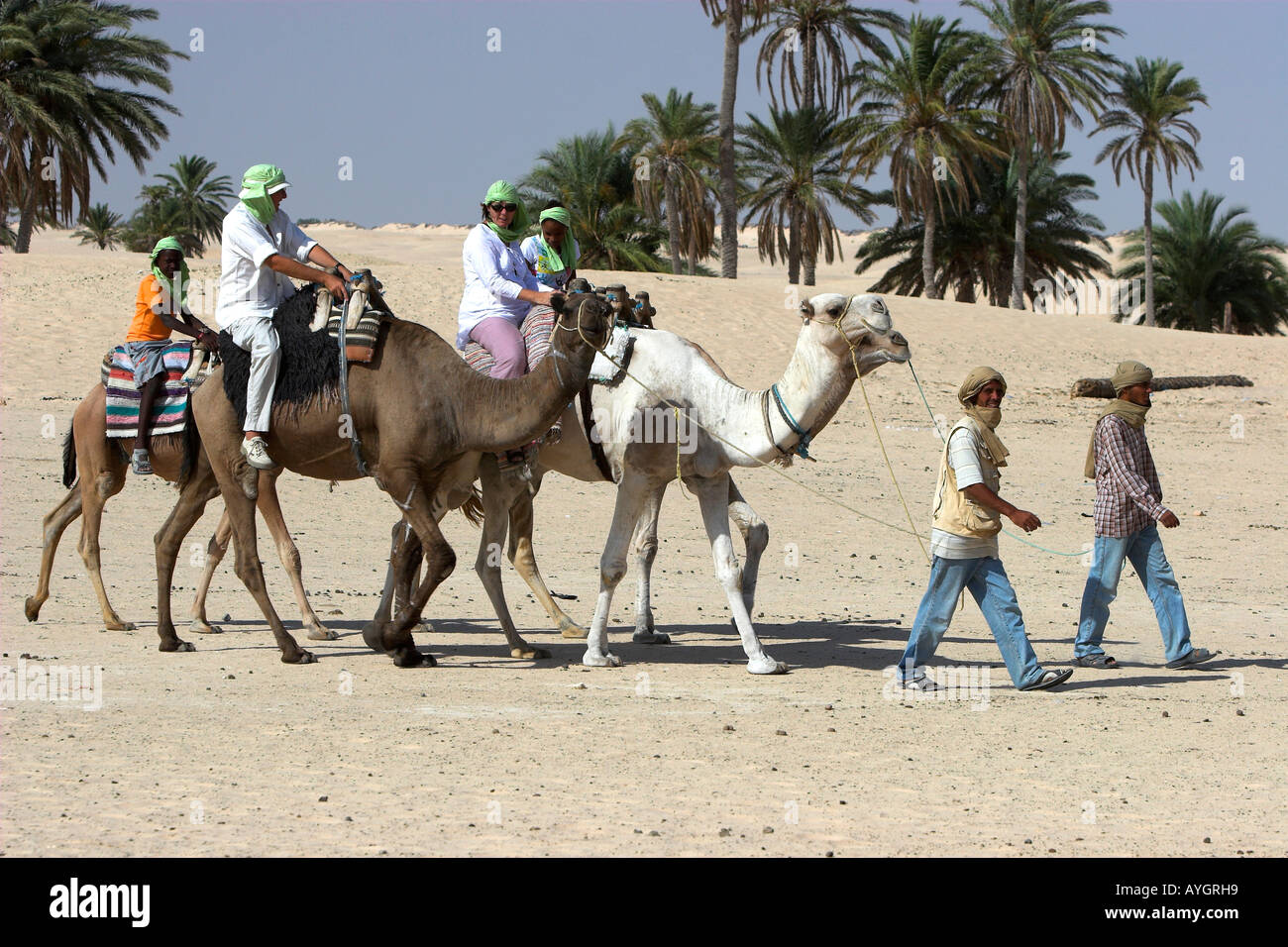 Camel trekking in the Sahara Desert near Douz Tunisia Stock Photo