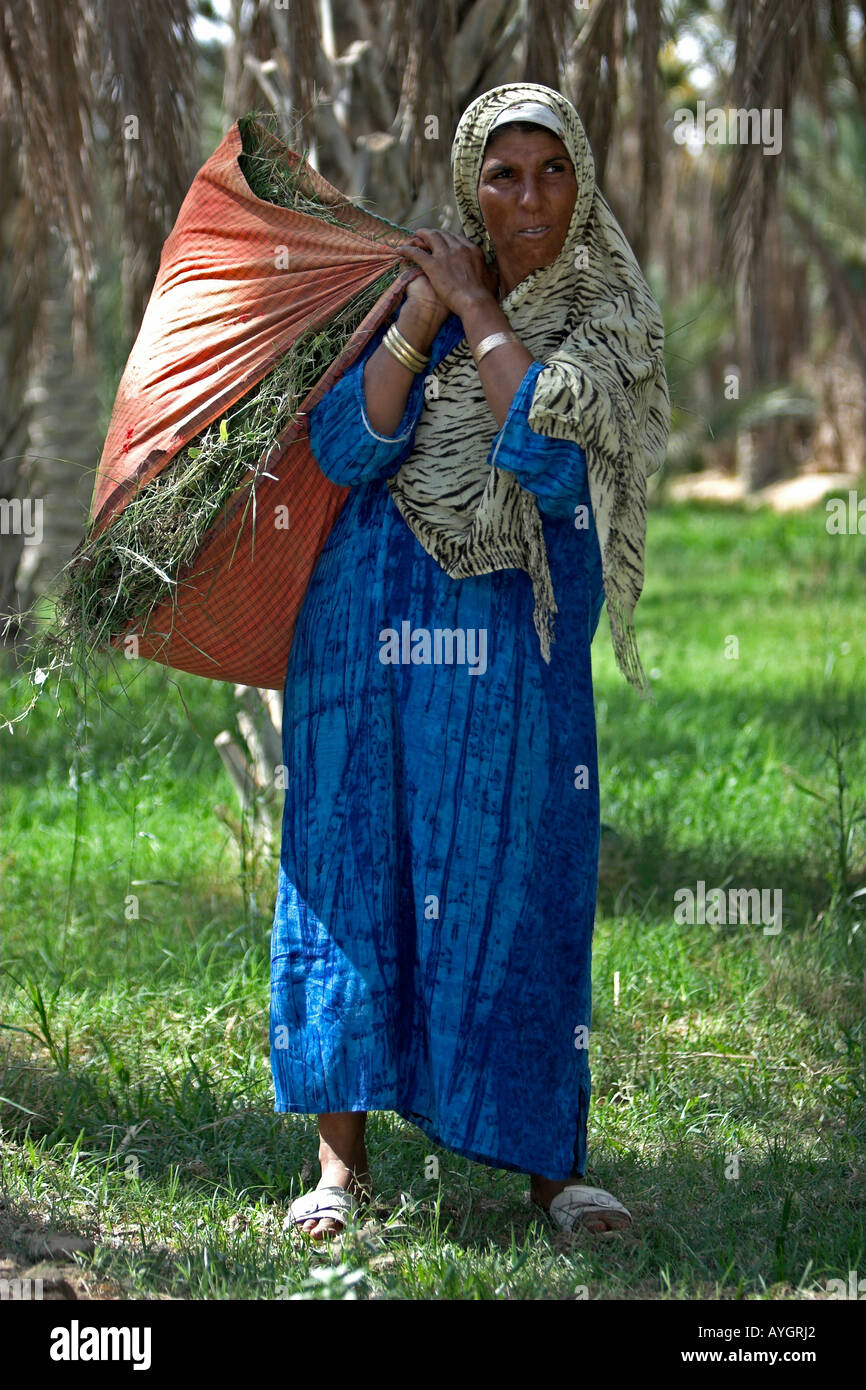 Woman carries grasses in shoulder bag for animal feed oasis Tunisia Stock Photo