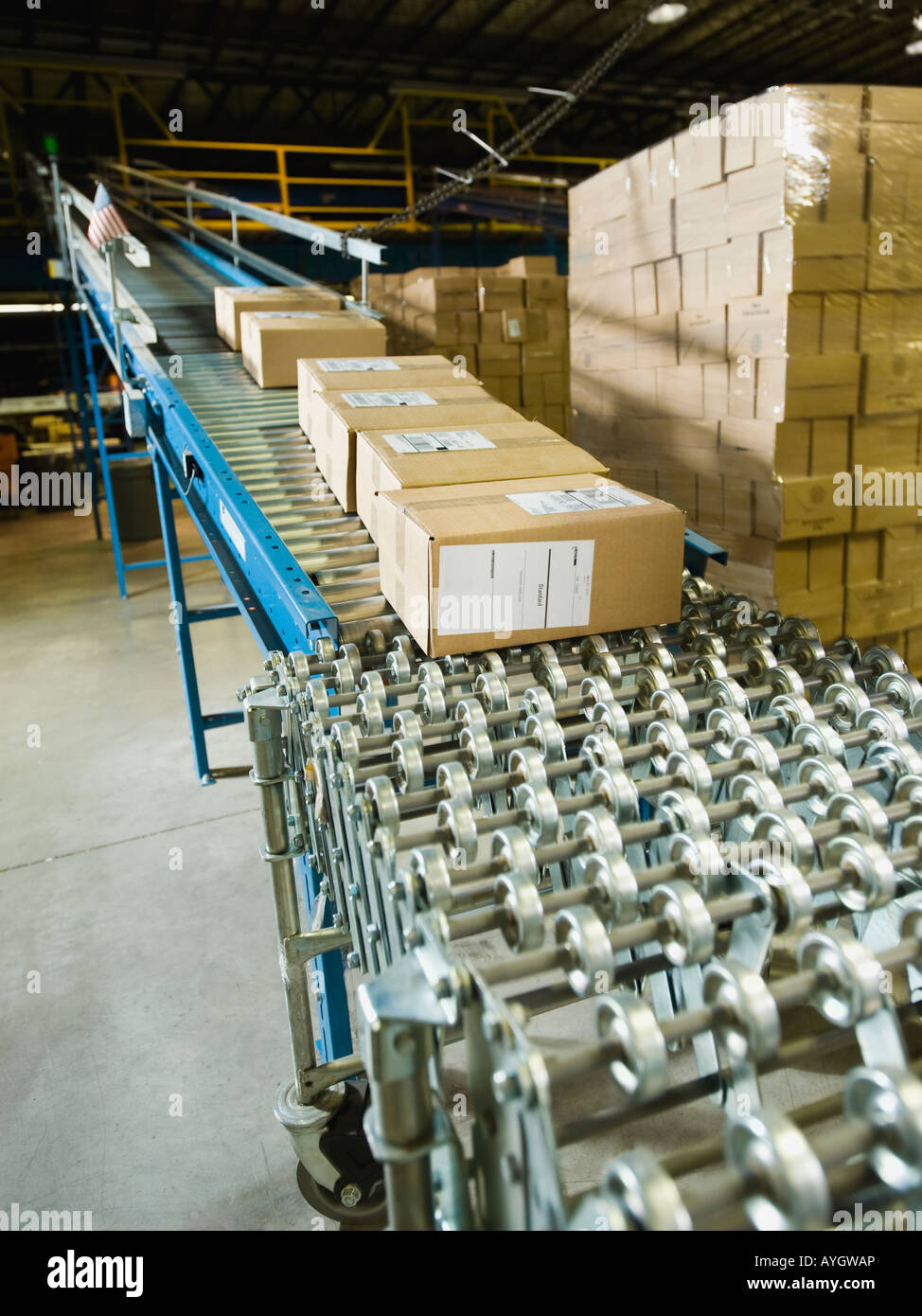 Conveyor belt clearance warehouse