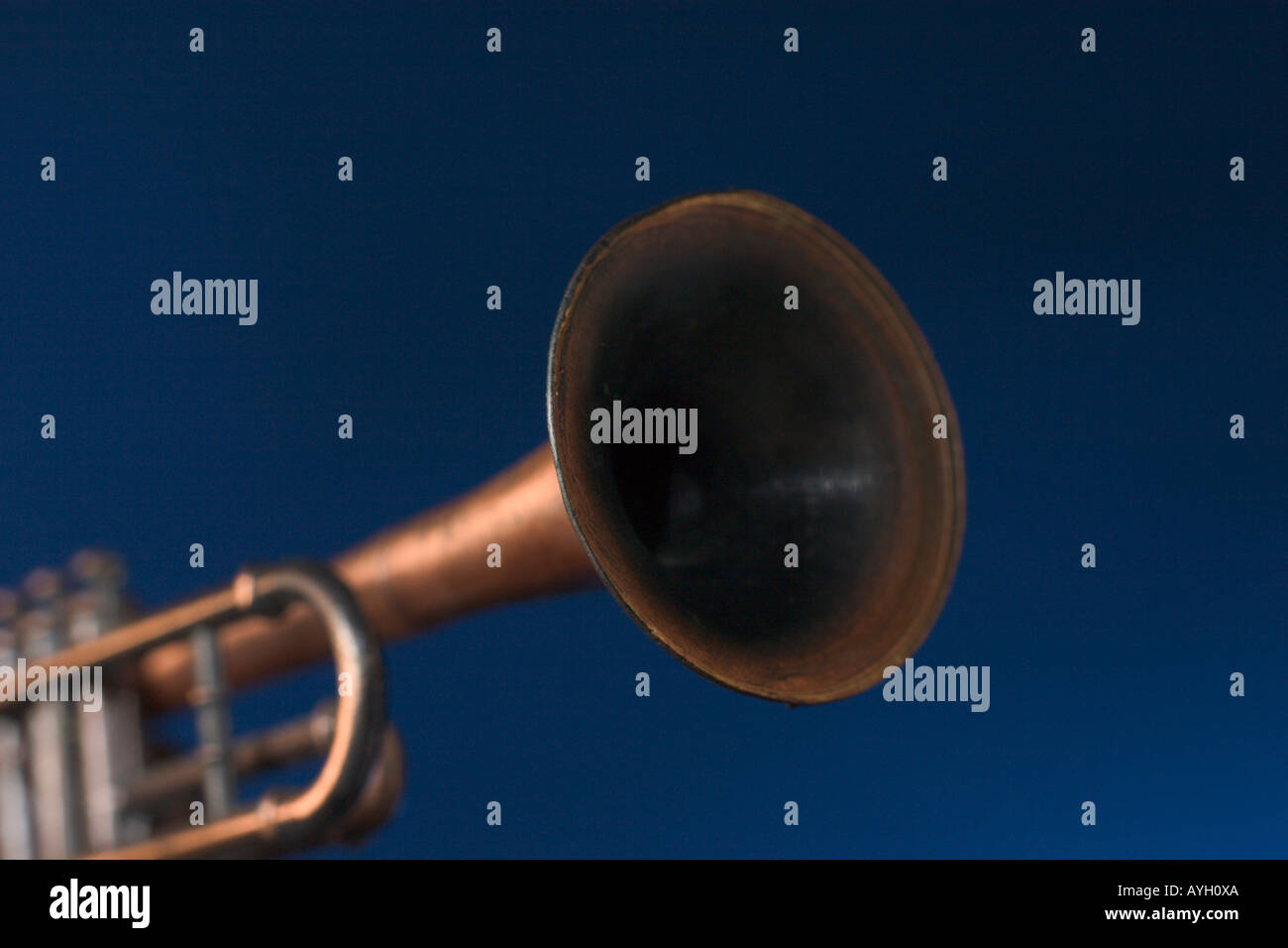 blue toy trumpet