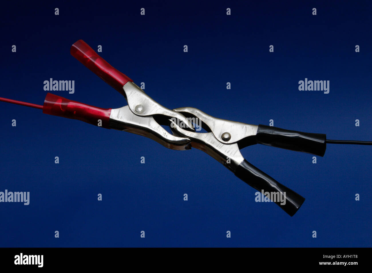 two large crocodile clips with dark blue background Stock Photo Alamy