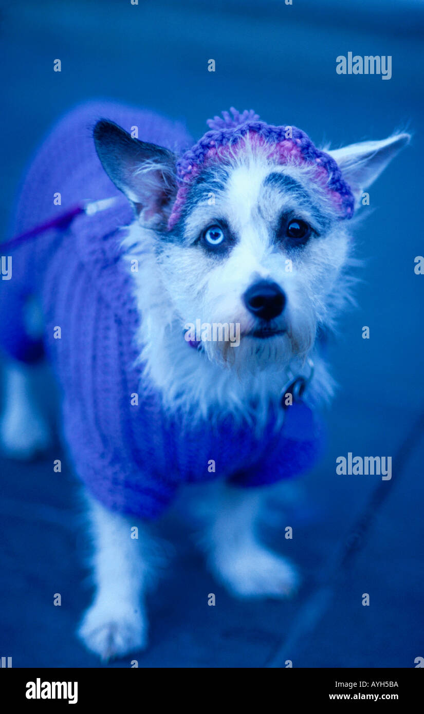 The exception, the difference Stock Photo