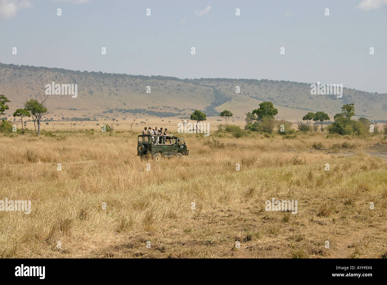 Jeep filled with visitors crosses the dusty plain Maasai Mara National Reserve game park in Kenya Africa Stock Photo