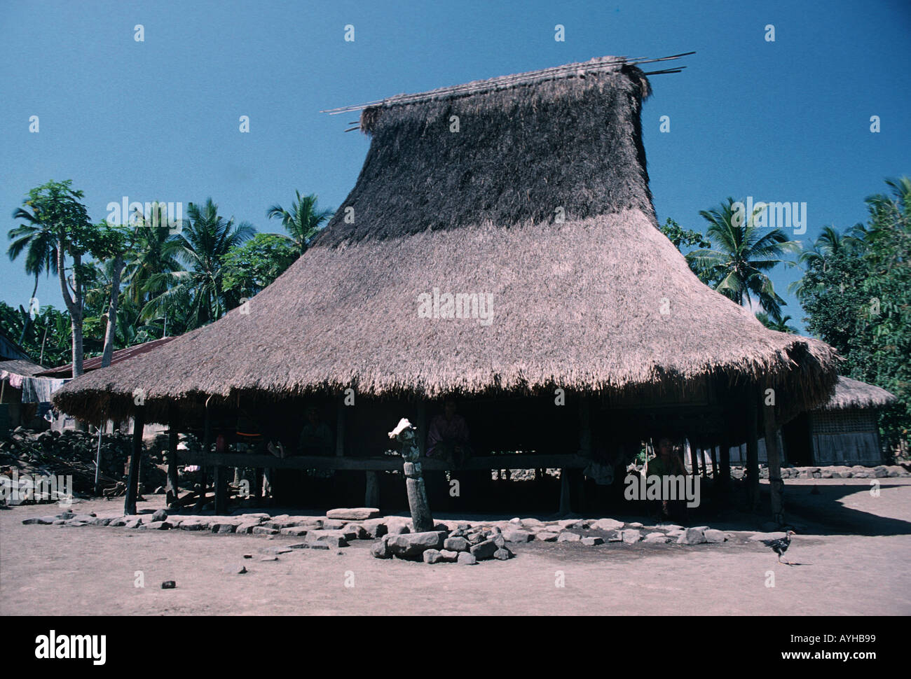 Traditional thatched house Wolowaru area Flores NusaTengarra Indonesia