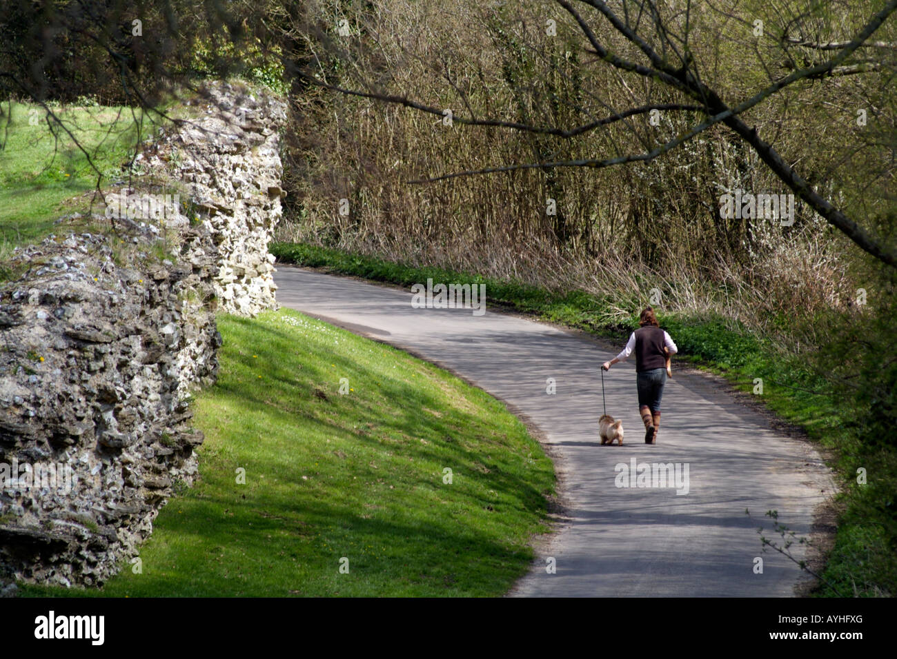 Woman walking dog English Country Lane Stock Photo - Alamy