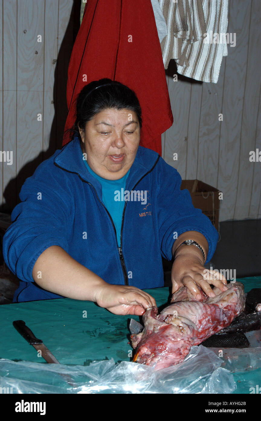 Native Cree woman preparing wild meat Stock Photo