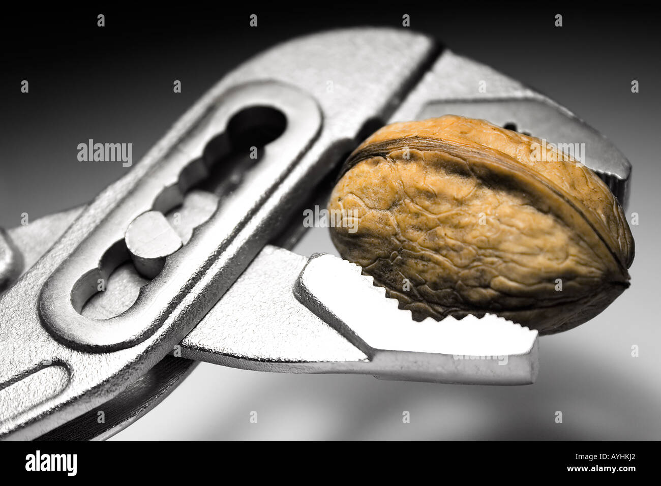Nut cracker device hires stock photography and images Alamy