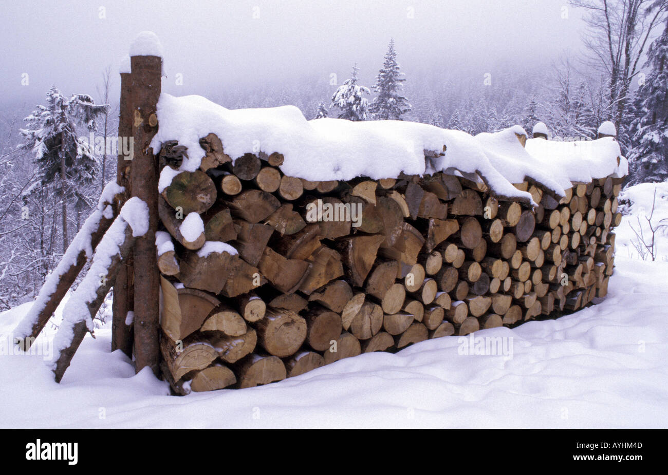 Holzstapel in winterlicher Landschaft Stock Photo