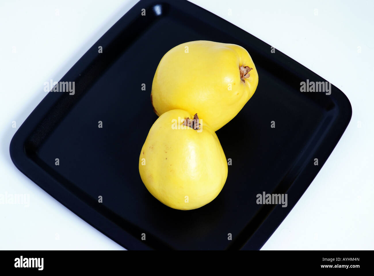 Quince | Quitte Stock Photo