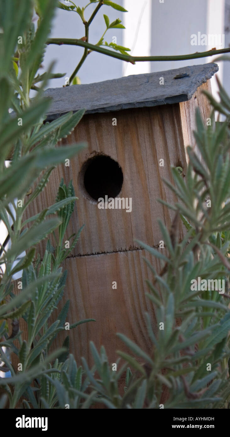 Nest Box For Birds Stock Photo Alamy nest-box-for-birds-stock-photo-alamy