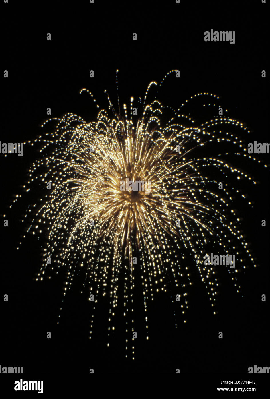 Palmenfoermiges Feuerwerk am Nachthimmel Stock Photo