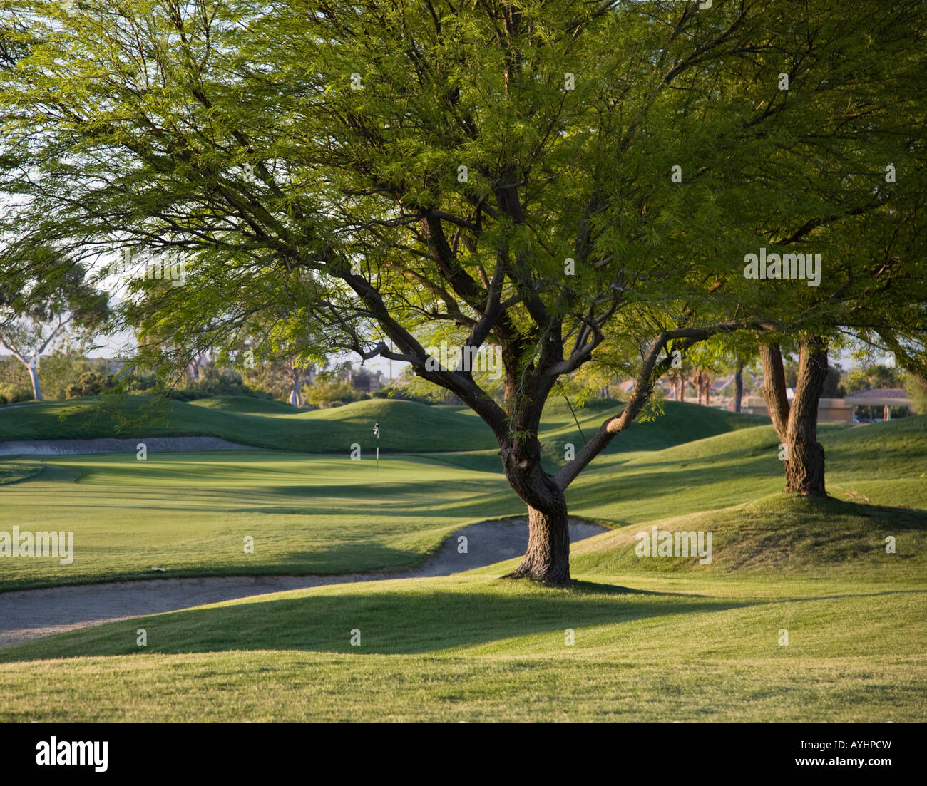 7th Hole Gary Player Signature Golf Course, Rancho Mirage, CA Stock Photo