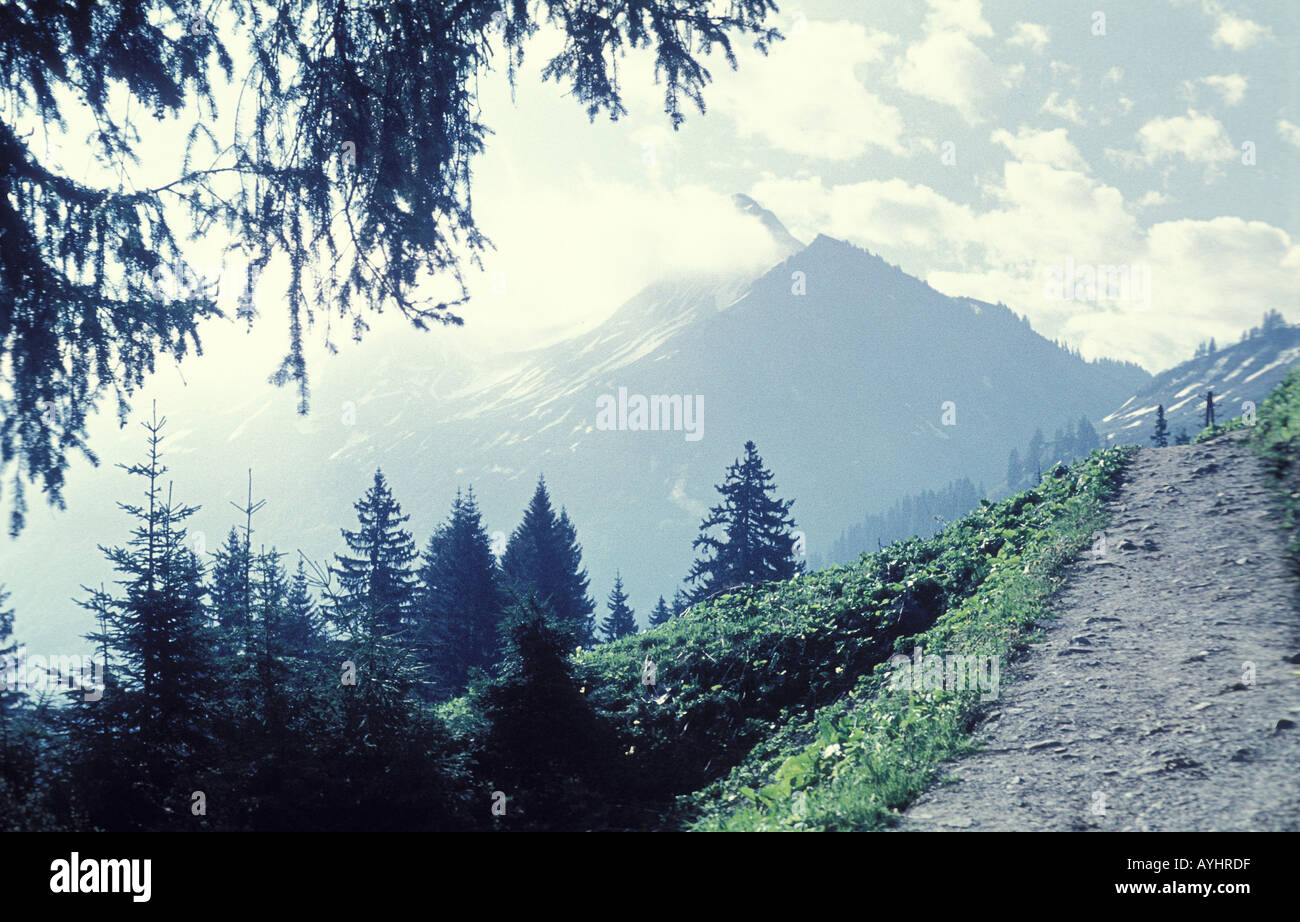 Wanderweg im Bregenzer Wald Oesterreich Stock Photo - Alamy