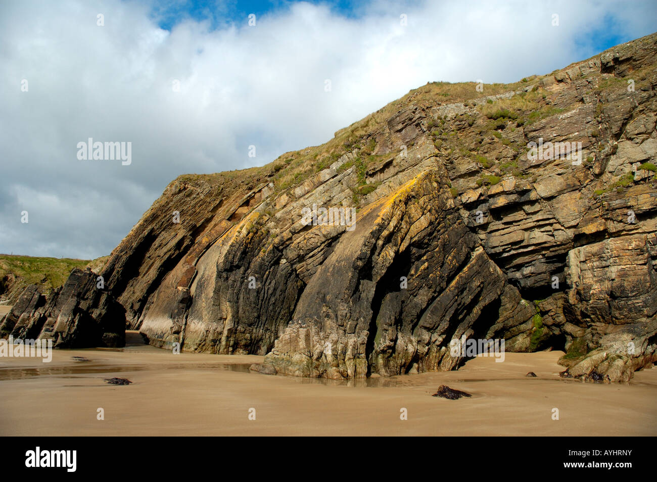 Monoclinal Folding Of Rocks At Goat Island Ardmore Co Waterford Ireland Stock Photo Alamy