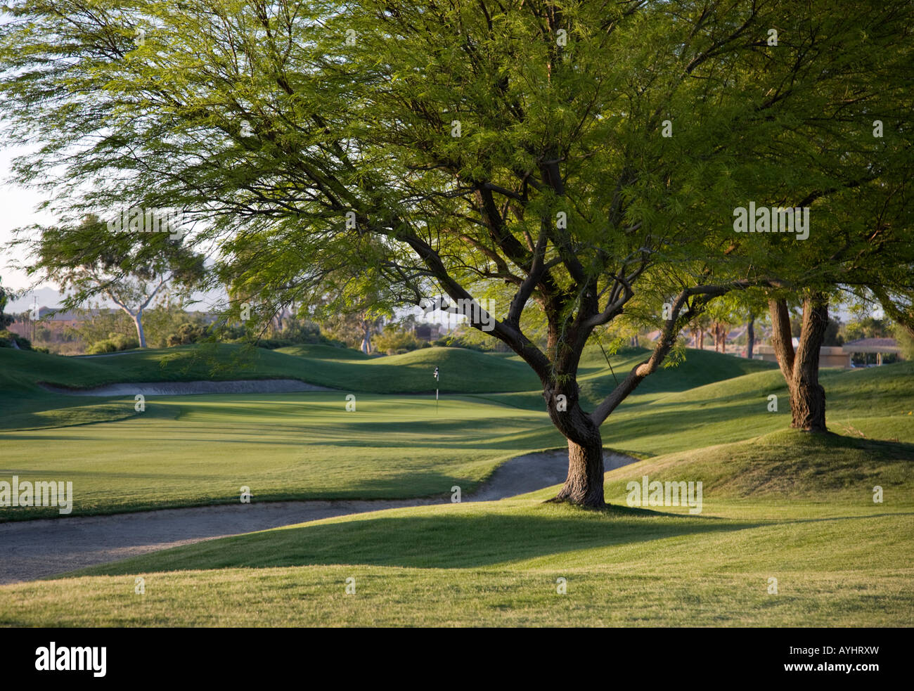 Signature course hole hi-res stock photography and images - Alamy