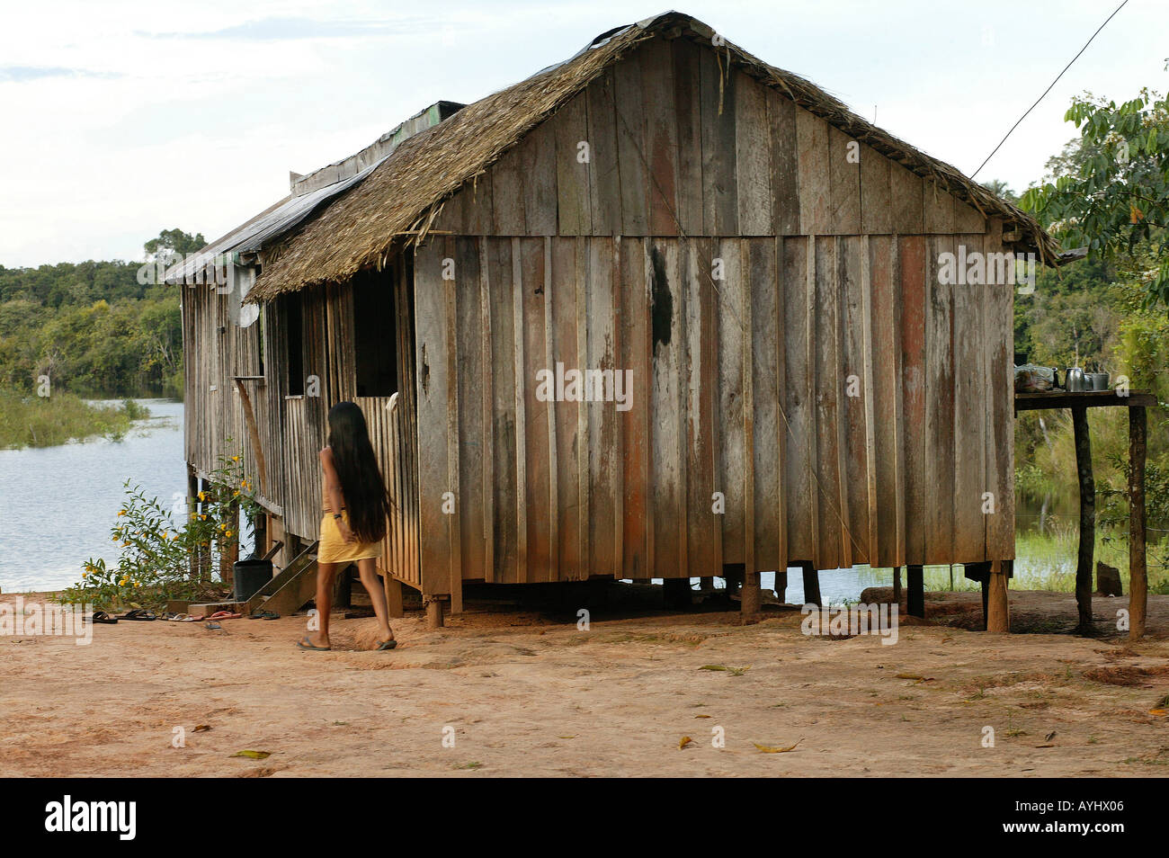 Caboclo Huette in der Naehe des Ubim Sees Amazonas Stock Photo - Alamy