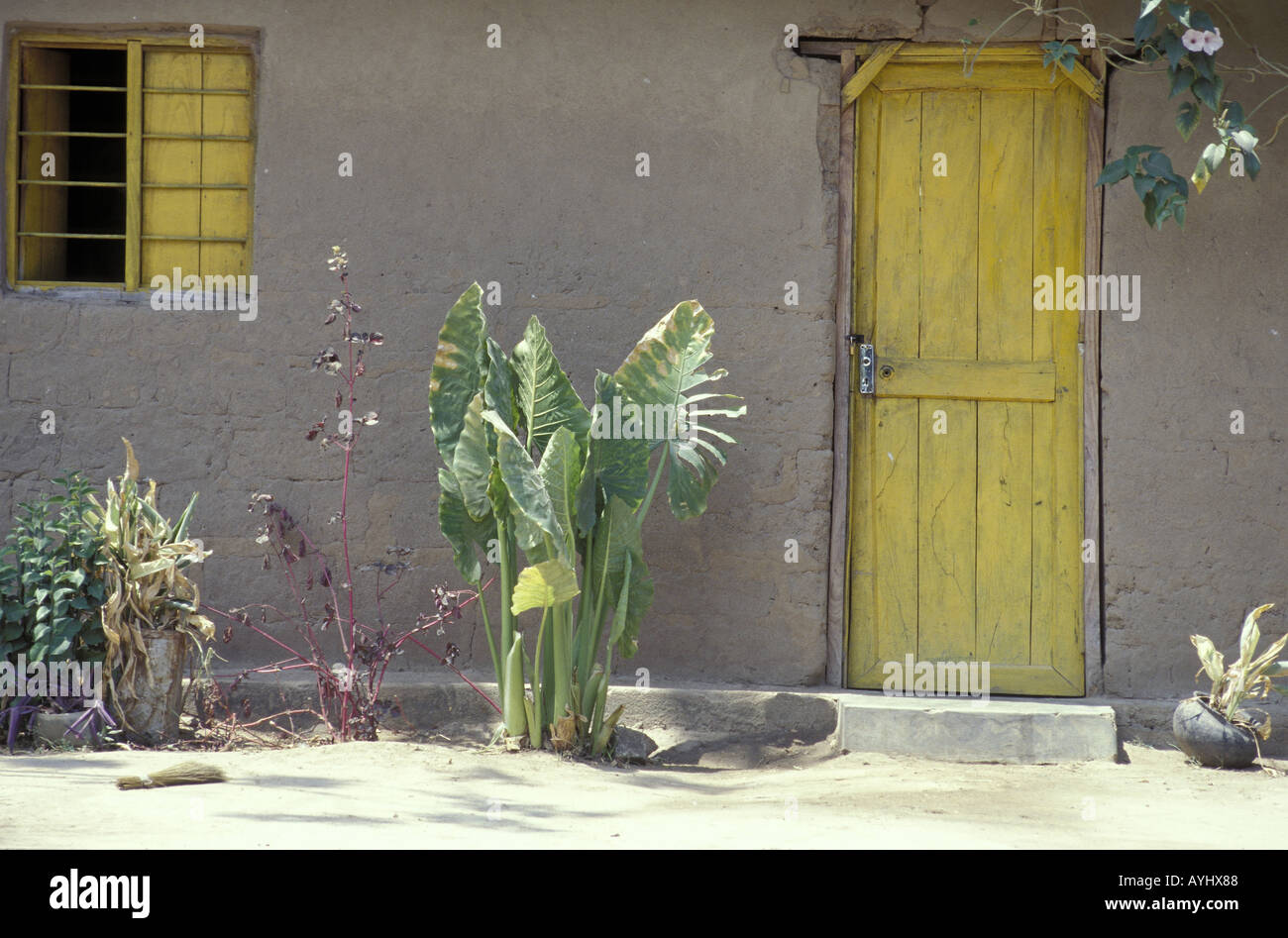 Lehmhuette mit gelber Tuer und gelbem Fenster Tansania Stock Photo