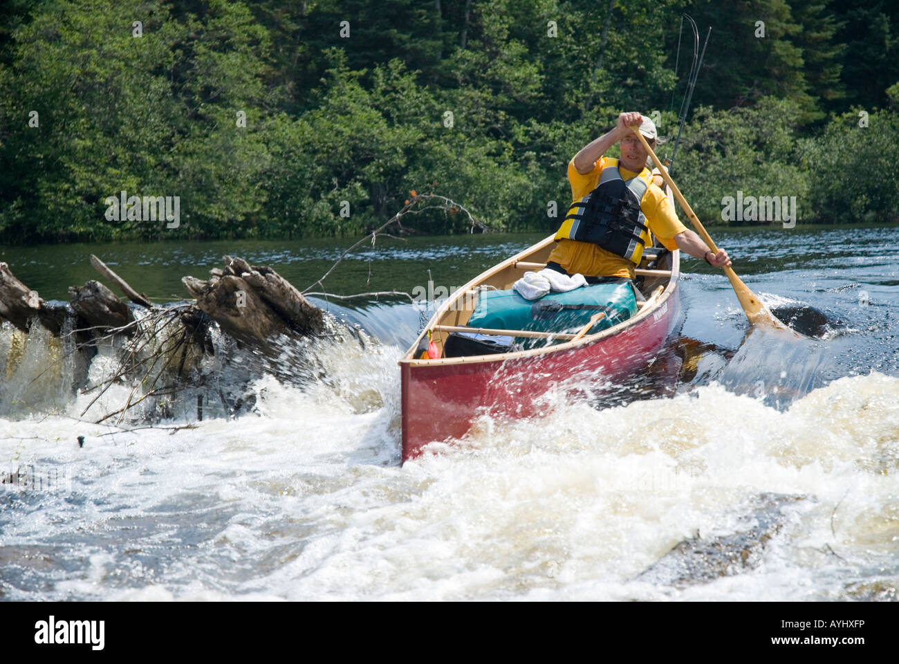 Man shooting rapids in red canoe Stock Photo Alamy