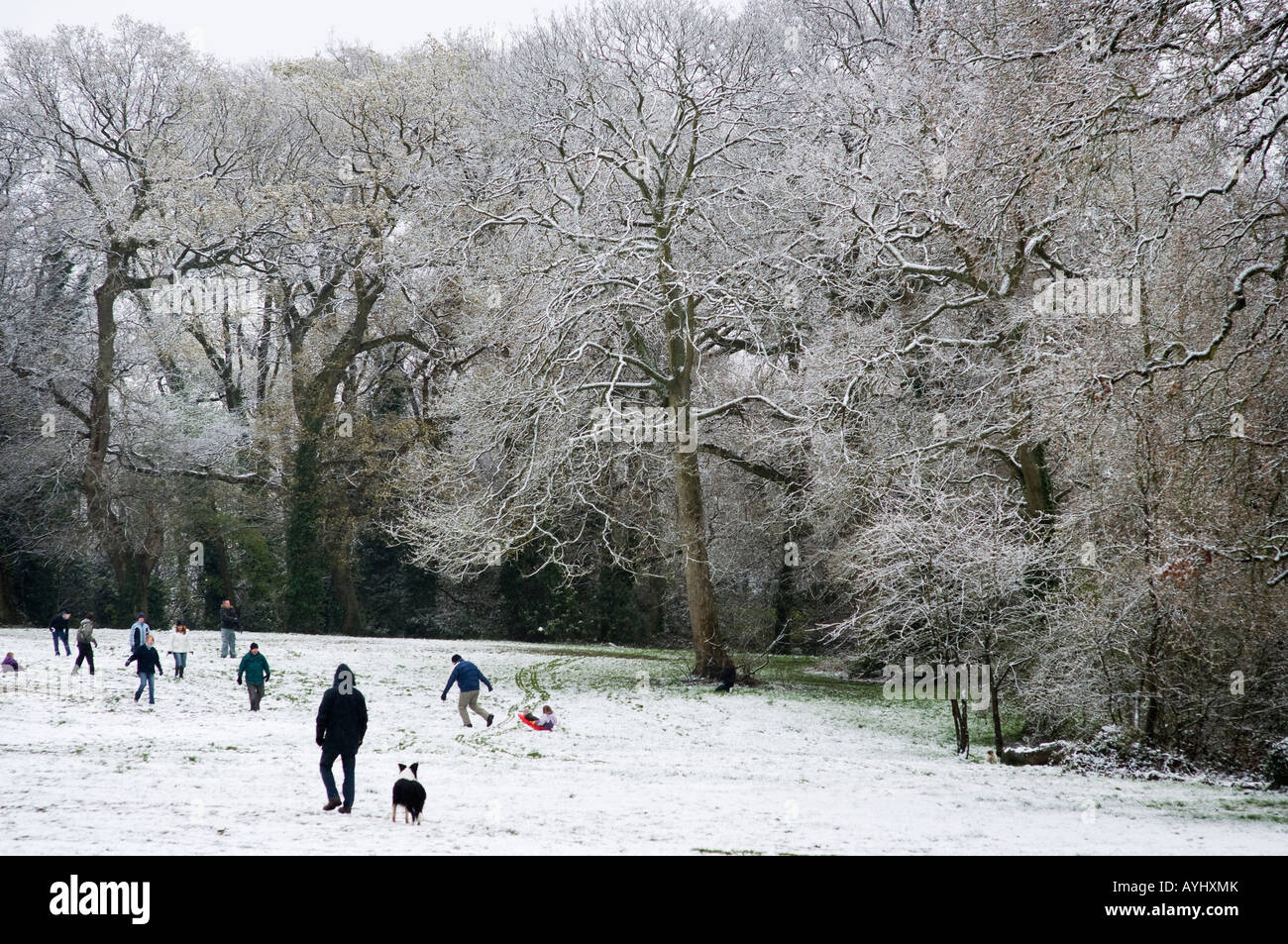 Families playing in a snow covered park. Stock Photo
