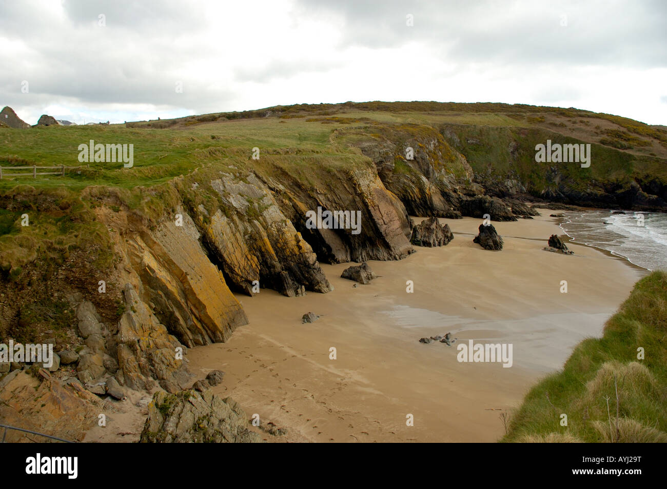 Beach At Goat Island Ardmore Co Waterford Ireland Stock Photo Alamy