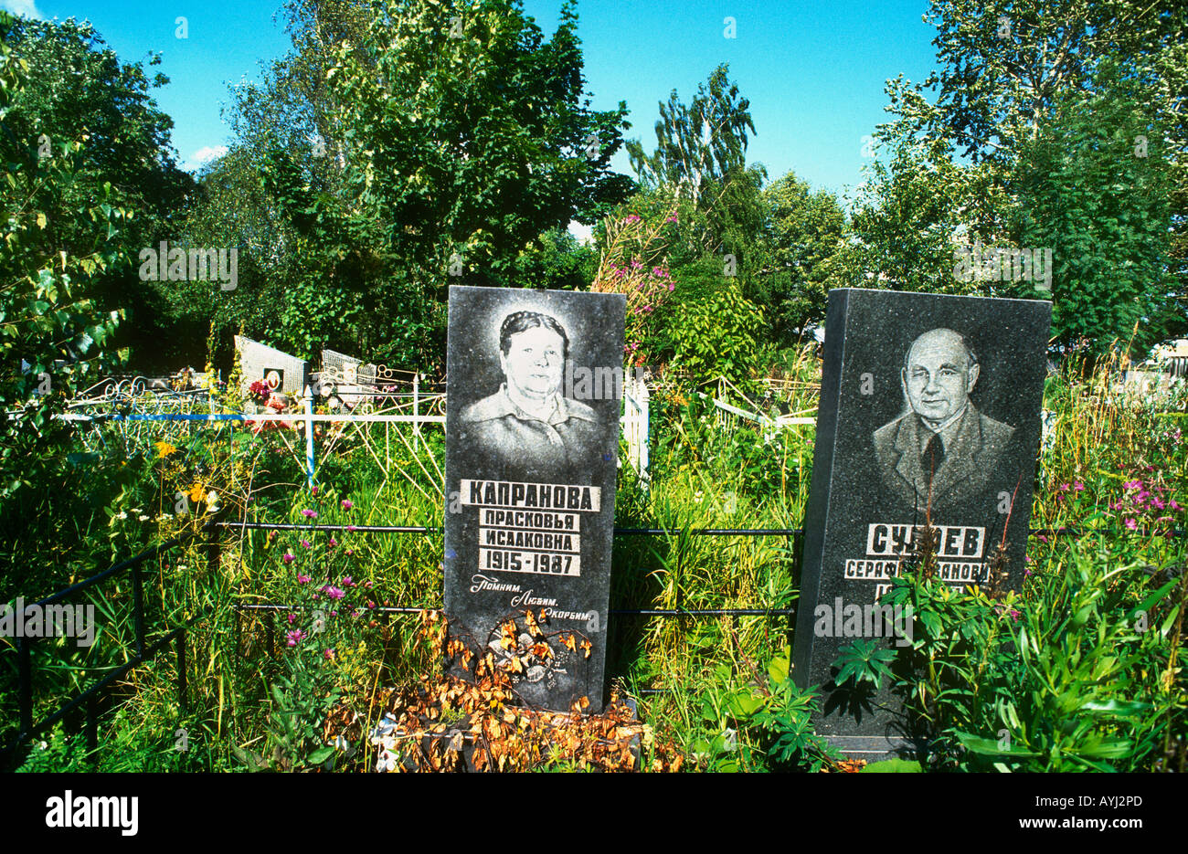 Grave stones in graveyard Russian cemetery on the outskirts of Moscow Russia Stock Photo