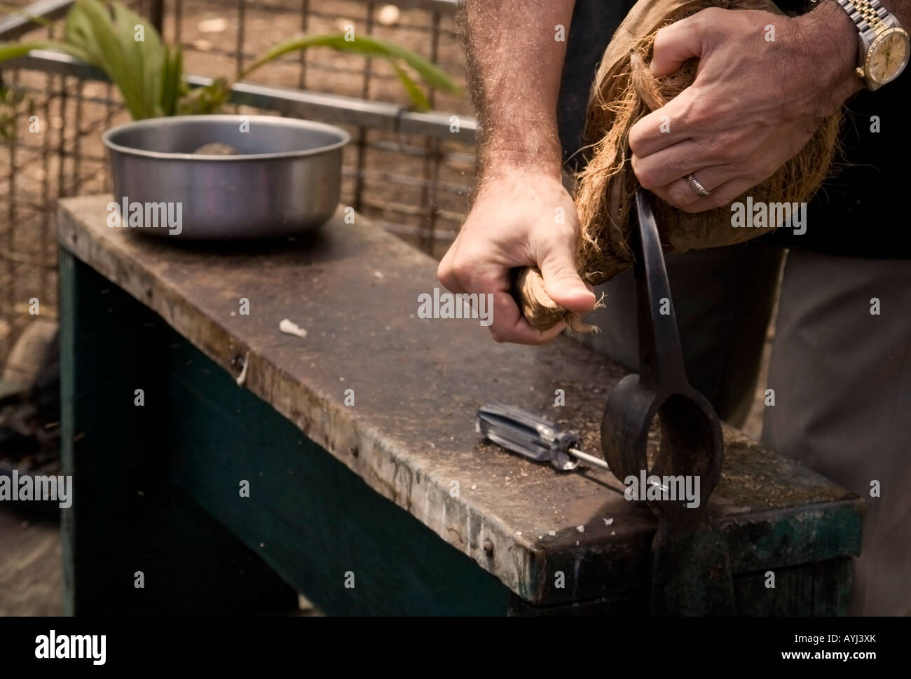 How to open a coconut stock photo alamy