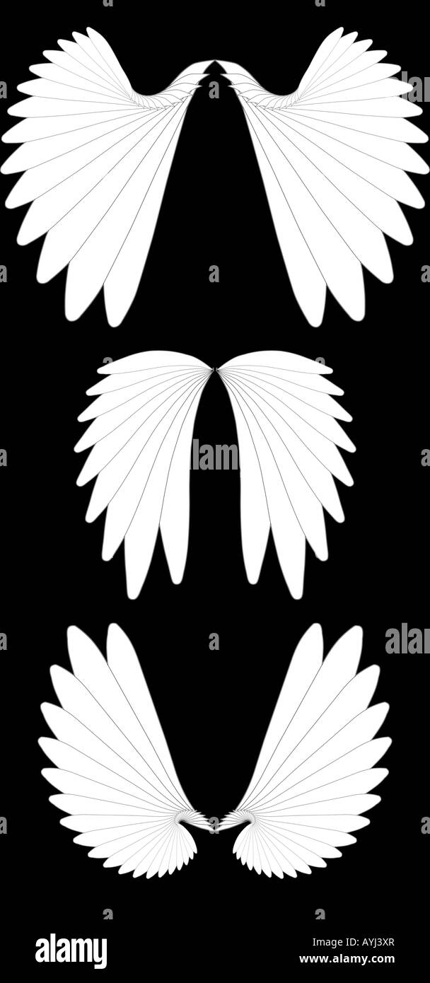 Angel wings illustration Stock Photo