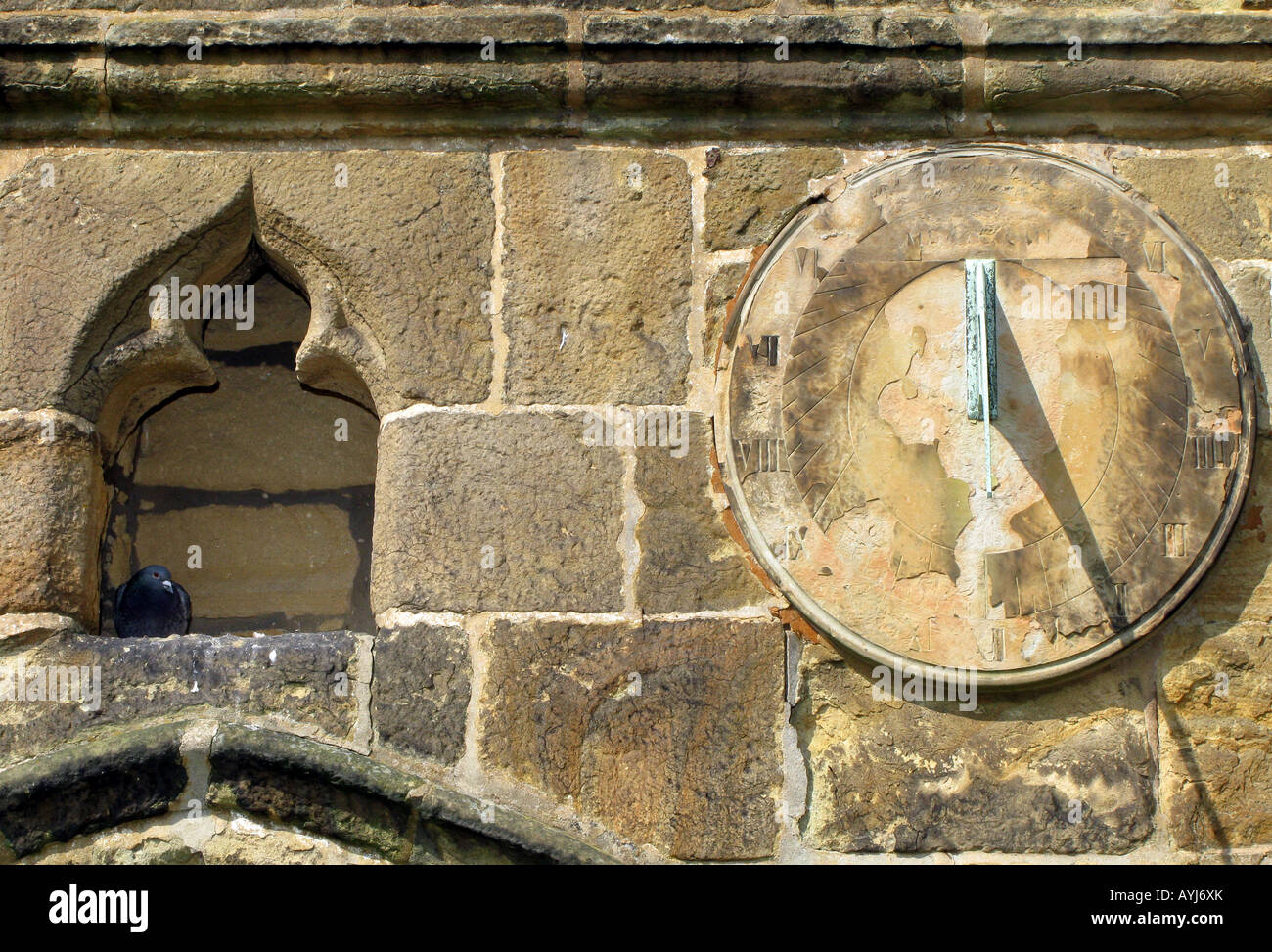 Sundial and pigeon on Bakewell All Saints church Derbyshire Peak District National park, England Stock Photo