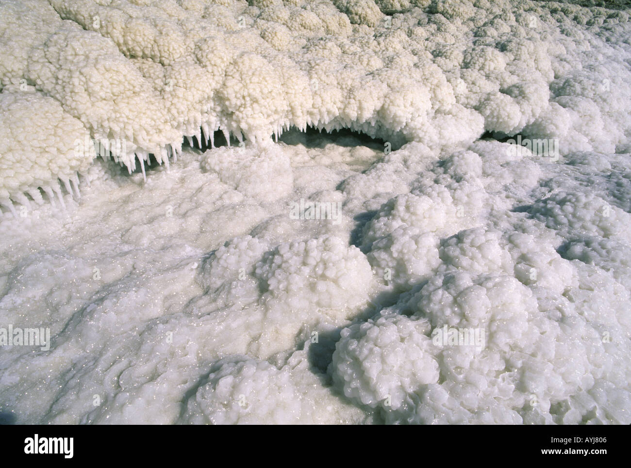 Salt crystals in dead sea hi-res stock photography and images - Alamy